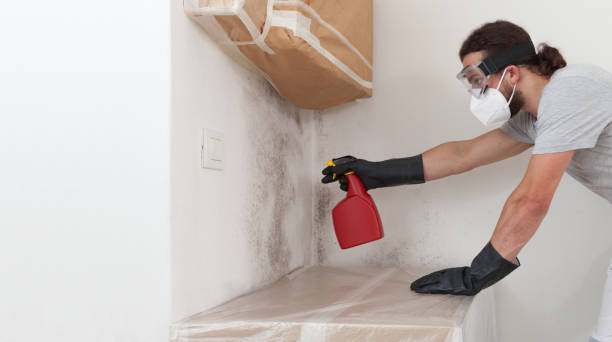 Professional Attic Mold Remediation technician working in Clarksville, TN