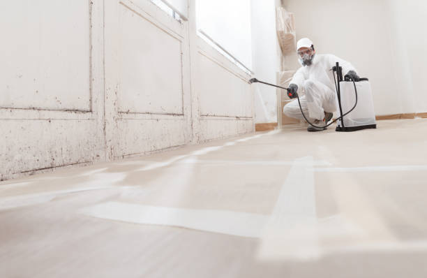 24/7 Emergency Attic Mold Remediation experts in Clarksville, TN