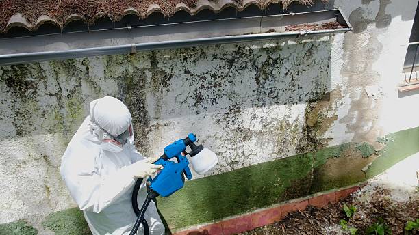 Top rated local Attic Mold Remediation specialists in Clarksville, TN
